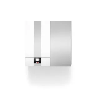 CW-2-14/100L WANDGASKETEL 14kW WOLF 8615090